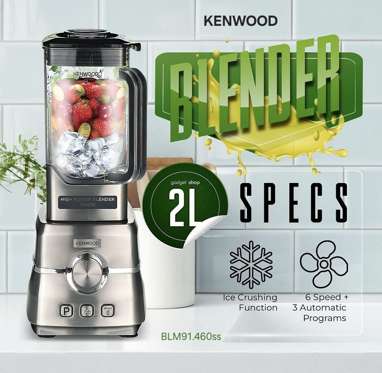 مخلوطکن مدل BLM-91