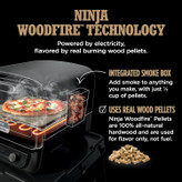 Ninja Woodfire Electric Outdoor Oven OO101UK