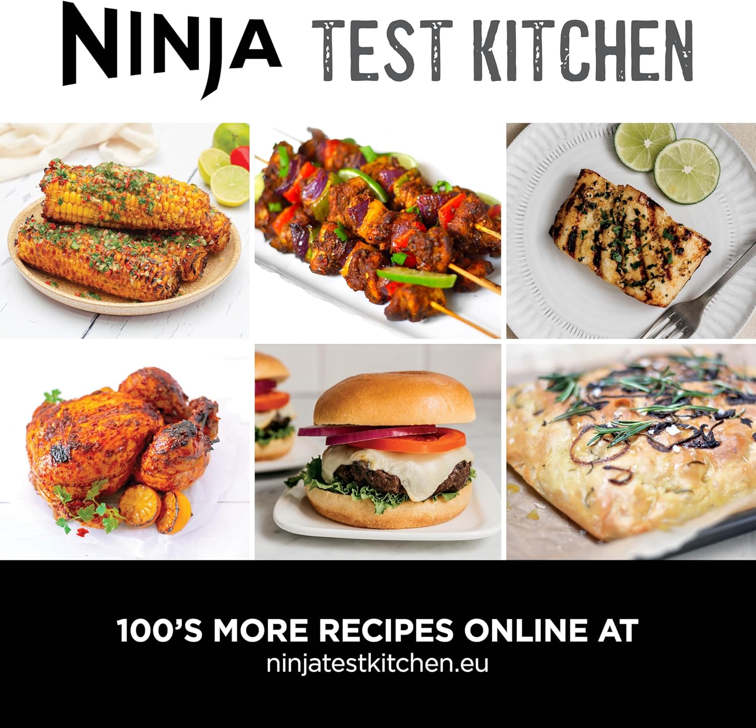 هواپز و گریل نینجا مدل EG351