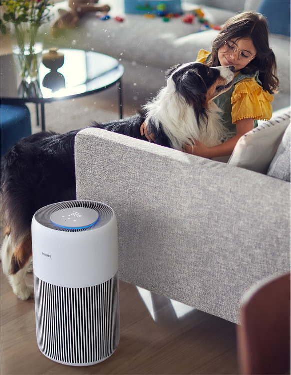 Philips Air Purifier 2200 Series, HEPA