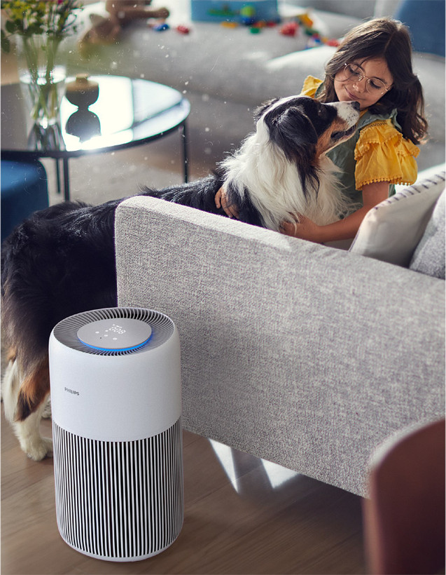 Philips Air Purifier 2200 Series, HEPA